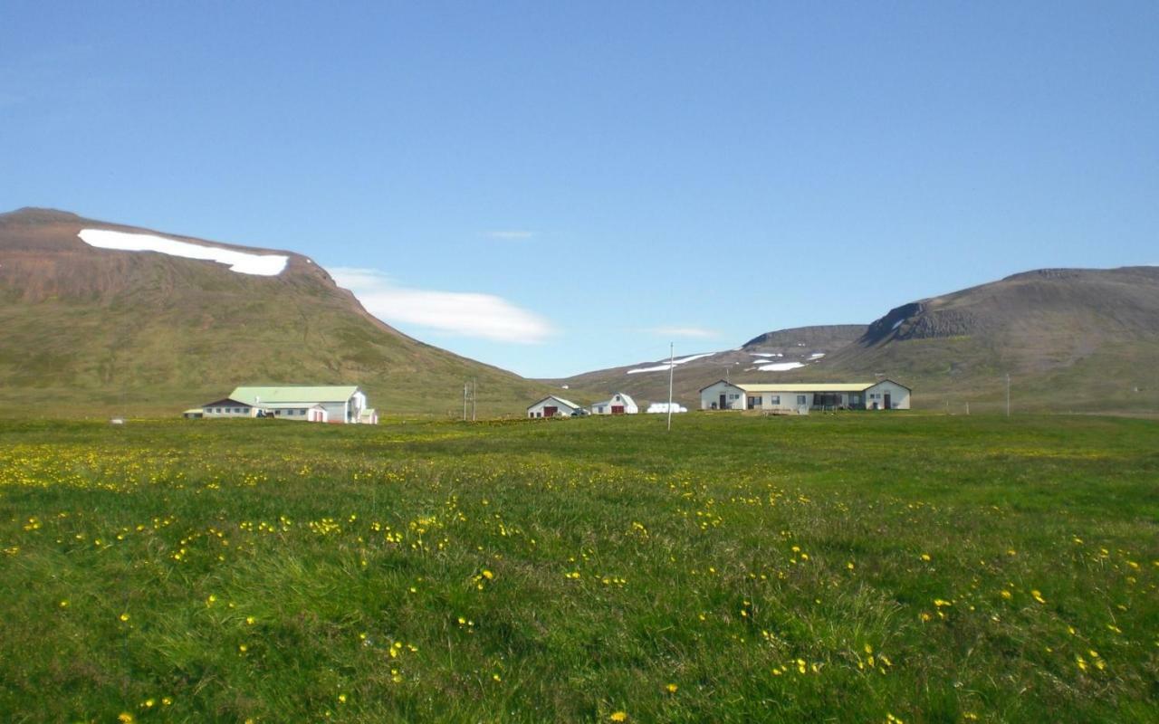 Steinnyjarstathir Skagastrond Exterior foto